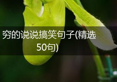 穷的说说搞笑句子(精选50句)