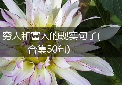 穷人和富人的现实句子(合集50句)