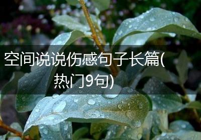 空间说说伤感句子长篇(热门9句)