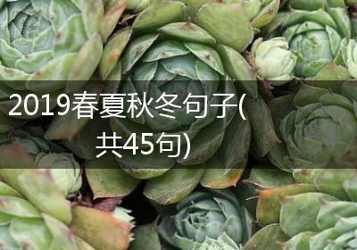 2019春夏秋冬句子(共45句)