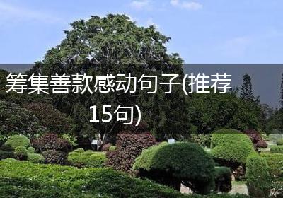 筹集善款感动句子(推荐15句)