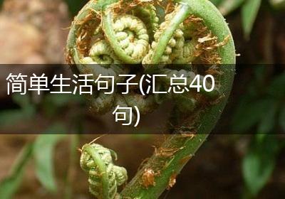 简单生活句子(汇总40句)