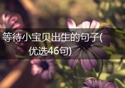 等待小宝贝出生的句子(优选46句)
