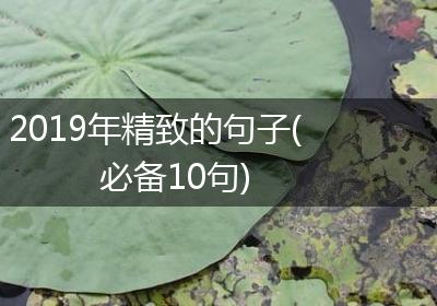 2019年精致的句子(必备10句)