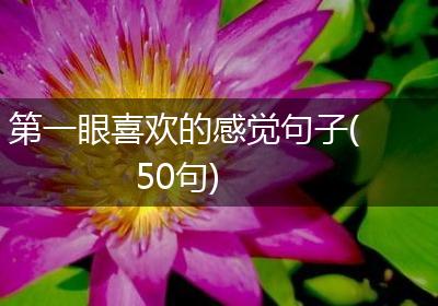 第一眼喜欢的感觉句子(50句)