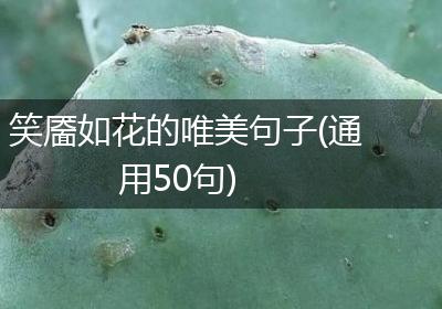 笑靥如花的唯美句子(通用50句)