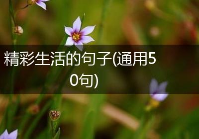精彩生活的句子(通用50句)