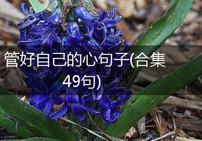 管好自己的心句子(合集49句)