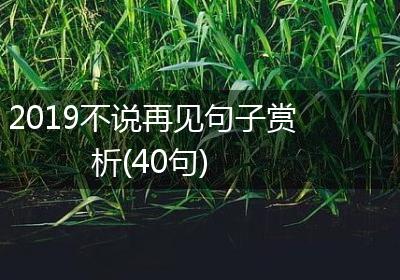 2019不说再见句子赏析(40句)