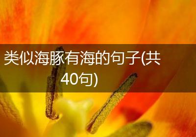类似海豚有海的句子(共40句)