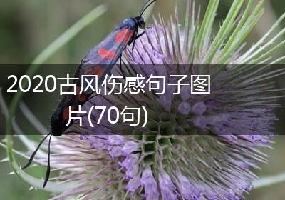 2020古风伤感句子图片(70句)