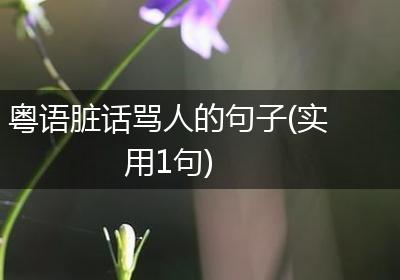 粤语脏话骂人的句子(实用1句)