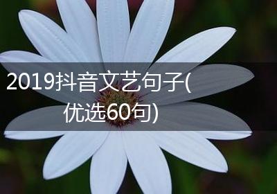 2019抖音文艺句子(优选60句)