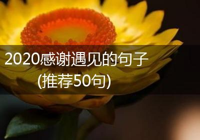 2020感谢遇见的句子(推荐50句)