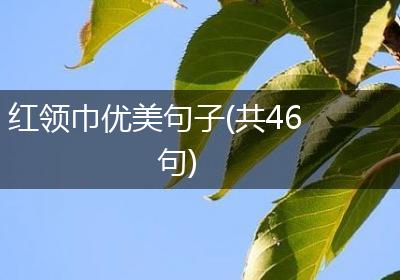 红领巾优美句子(共46句)