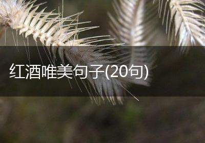 红酒唯美句子(20句)