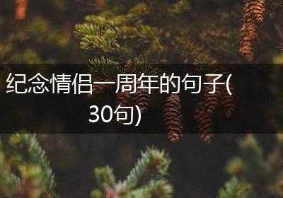 纪念情侣一周年的句子(30句)
