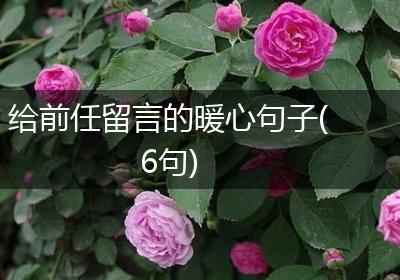 给前任留言的暖心句子(6句)
