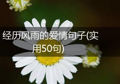 经历风雨的爱情句子(实用50句)