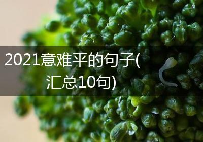 2021意难平的句子(汇总10句)