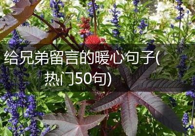 给兄弟留言的暖心句子(热门50句)