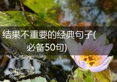 结果不重要的经典句子(必备50句)