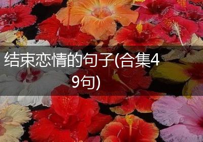 结束恋情的句子(合集49句)