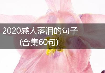 2020感人落泪的句子(合集60句)