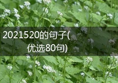 2021520的句子(优选80句)