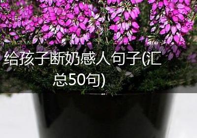 给孩子断奶感人句子(汇总50句)