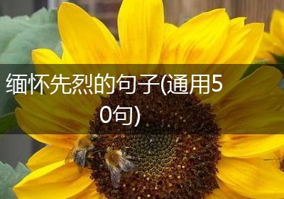 缅怀先烈的句子(通用50句)