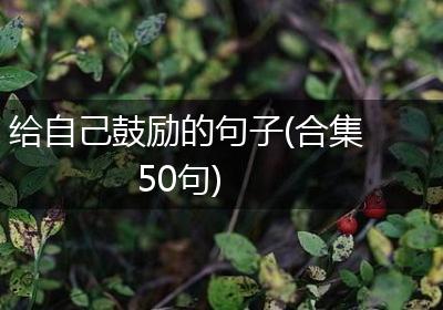 给自己鼓励的句子(合集50句)