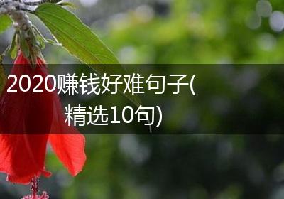 2020赚钱好难句子(精选10句)