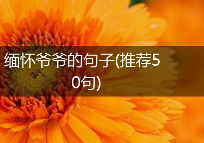 缅怀爷爷的句子(推荐50句)