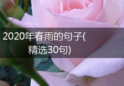 2020年春雨的句子(精选30句)