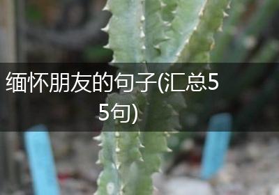 缅怀朋友的句子(汇总55句)
