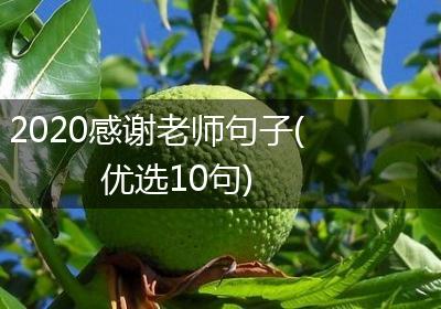 2020感谢老师句子(优选10句)