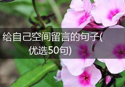 给自己空间留言的句子(优选50句)
