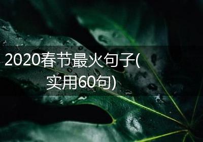 2020春节最火句子(实用60句)