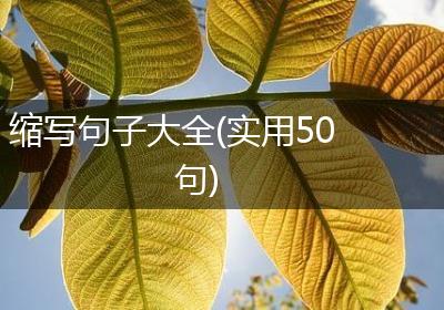 缩写句子大全(实用50句)