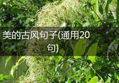 美的古风句子(通用20句)