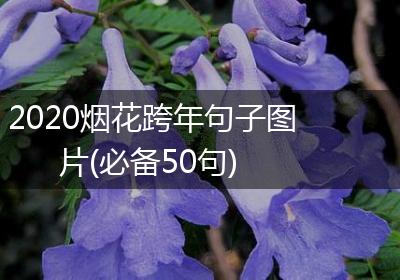 2020烟花跨年句子图片(必备50句)