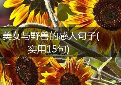 美女与野兽的感人句子(实用15句)