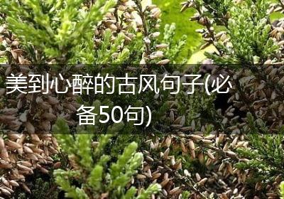 美到心醉的古风句子(必备50句)