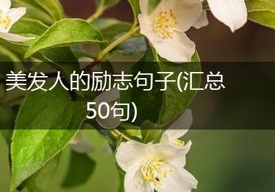 美发人的励志句子(汇总50句)