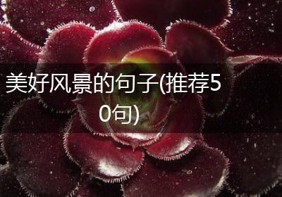美好风景的句子(推荐50句)