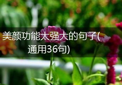 美颜功能太强大的句子(通用36句)