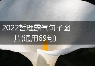 2022哲理霸气句子图片(通用69句)