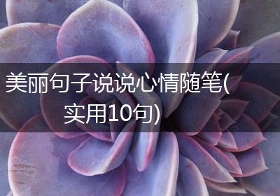 美丽句子说说心情随笔(实用10句)