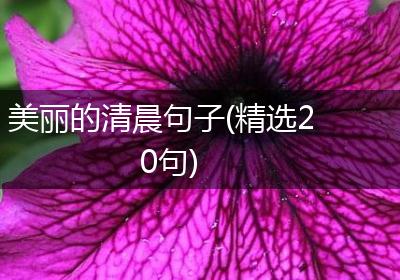 美丽的清晨句子(精选20句)